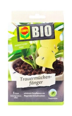 COMPO BIO Trauermückenfänger - 5 Stück